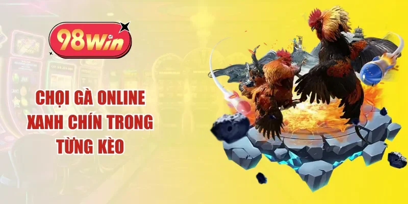 Chọi gà online xanh chín trong từng kèo