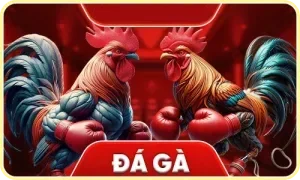 đá gà trang chủ